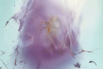Image titled Dialogue 13.8.2016 (30 min, lilac explosion) by Noora Sndgren